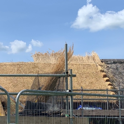 Wedding News: Thatching mystery at Barrington Court’s Beagles café