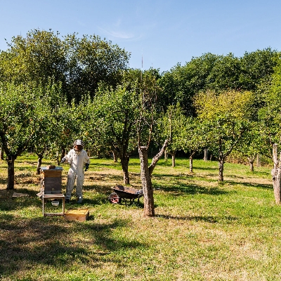 Wedding News: Georgia at Berwick Lodge shares her tips for planning a sustainable wedding