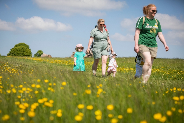 People in the parkland at Dyrham Park